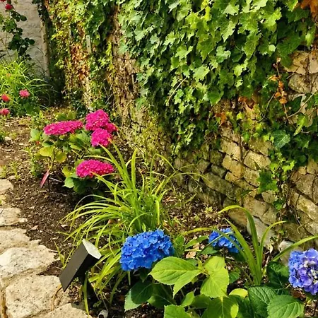 Casa vacanze Maison Avec Piscine Privée Et Animaux Admis - 6 Pers. - Fr-1-653-291 Courcome